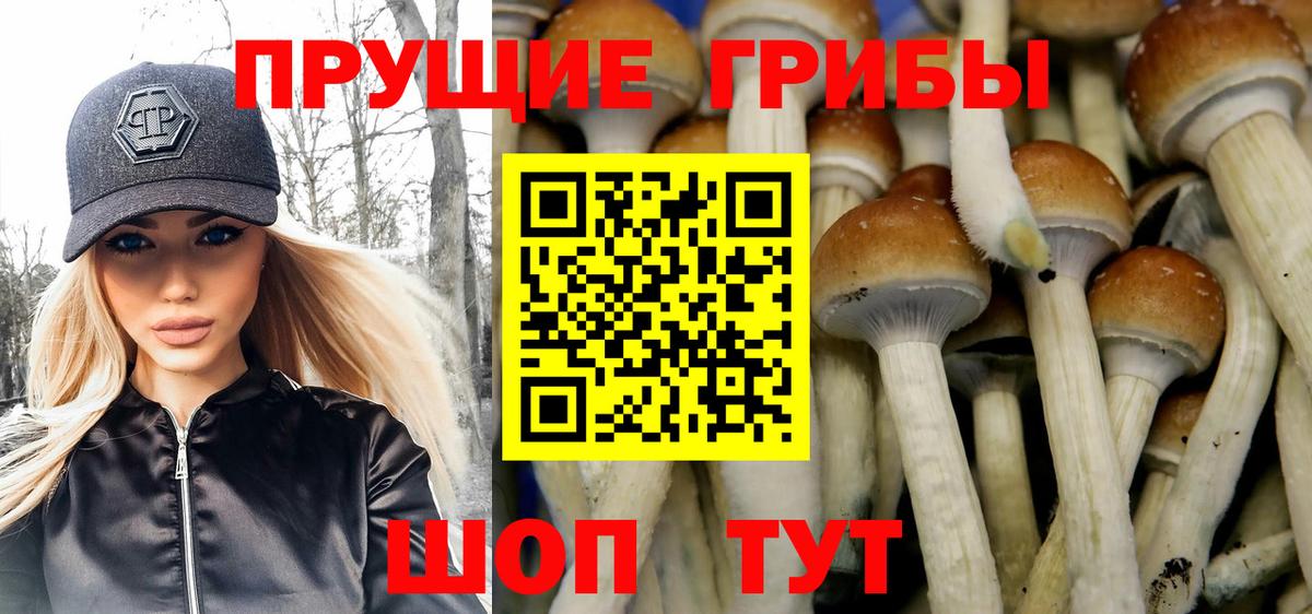 Псилоцибиновые грибы Magic Shrooms  Псилоцибиновые грибы Cubensis  Вход с VPN  Аргун 